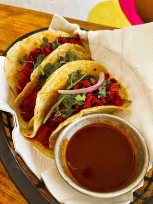  at Plant Base in Lisbon