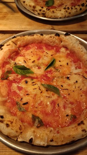  at Plant Base in Lisbon