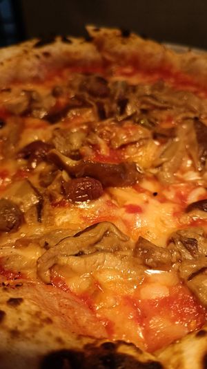  at Plant Base in Lisbon