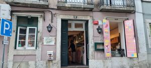  at Plant Base in Lisbon