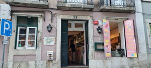  at Plant Base in Lisbon