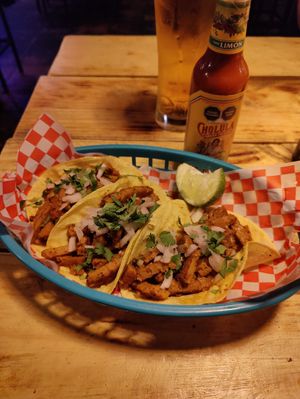  at Plant Base in Lisbon