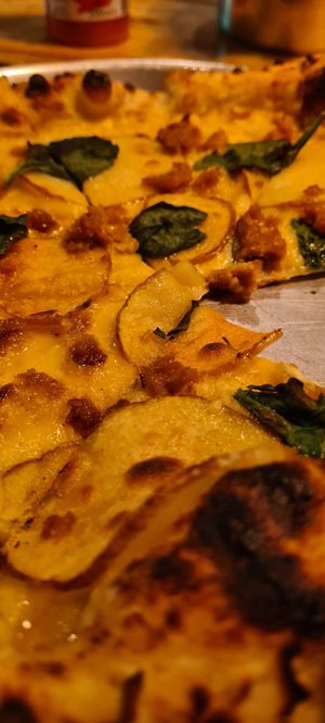  at Plant Base in Lisbon