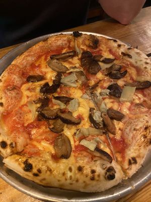 Cippola   at Plant Base in Lisbon