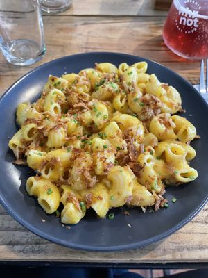   at Plant Base in Lisbon