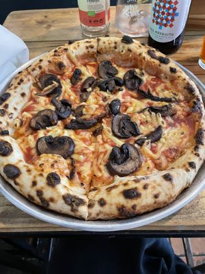   at Plant Base in Lisbon