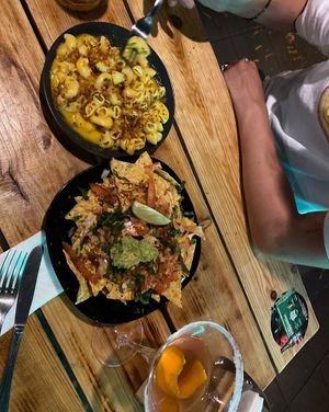   at Plant Base in Lisbon