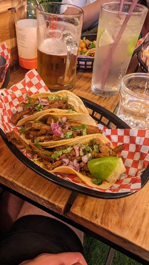  at Plant Base in Lisbon