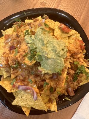   at Plant Base in Lisbon