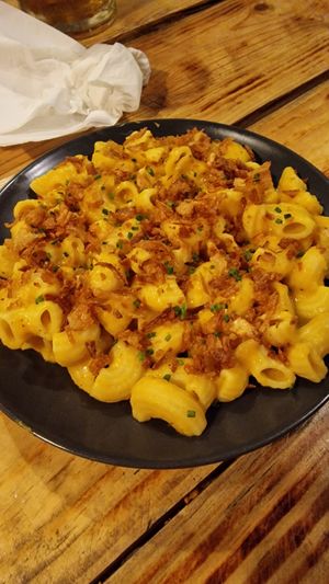  at Plant Base in Lisbon