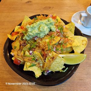  at Plant Base in Lisbon