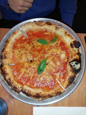  at Plant Base in Lisbon