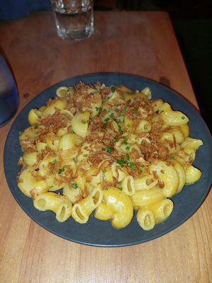  at Plant Base in Lisbon