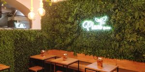  at Plant Base in Lisbon