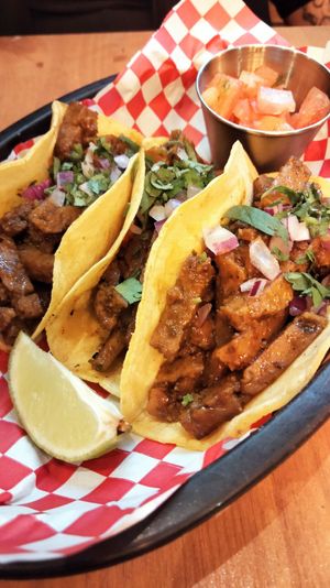  at Plant Base in Lisbon