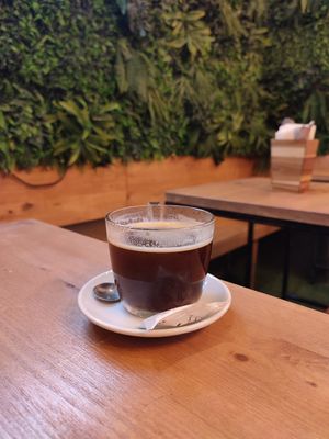  at Plant Base in Lisbon