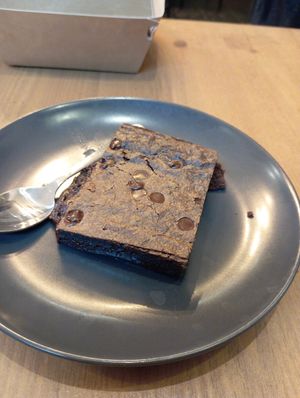 Brownie at Plant Base in Lisbon