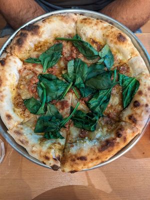  at Plant Base in Lisbon