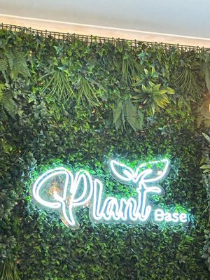   at Plant Base in Lisbon