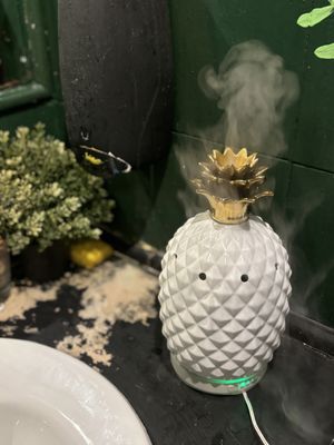 Diffuser in the toilets!  at Plant Base in Lisbon