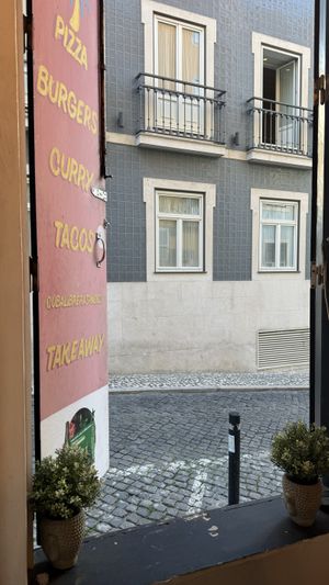 View from our tablee  at Plant Base in Lisbon