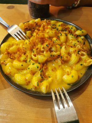  at Plant Base in Lisbon