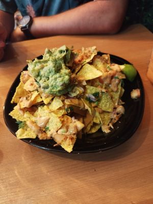  at Plant Base in Lisbon