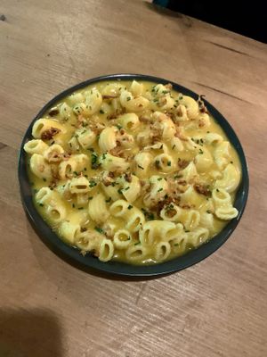   at Plant Base in Lisbon