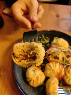 Fried momos at Plant Base in Lisbon