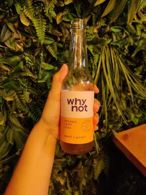 Why not soda at Plant Base in Lisbon