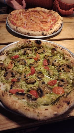  at Plant Base in Lisbon