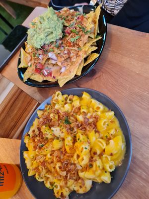  at Plant Base in Lisbon