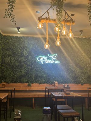   at Plant Base in Lisbon