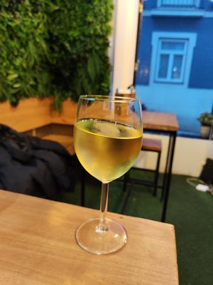 Green wine at Plant Base in Lisbon