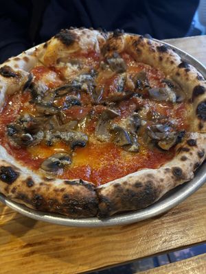   at Plant Base in Lisbon