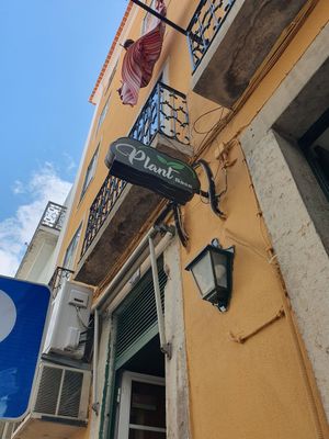  at Plant Base in Lisbon