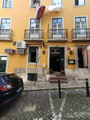  at Plant Base in Lisbon