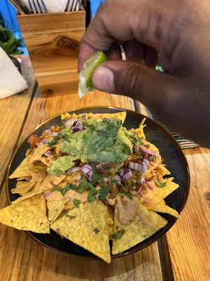   at Plant Base in Lisbon