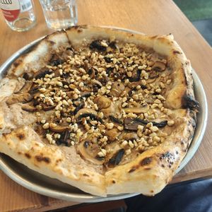 The Fungees at Plant Base in Lisbon