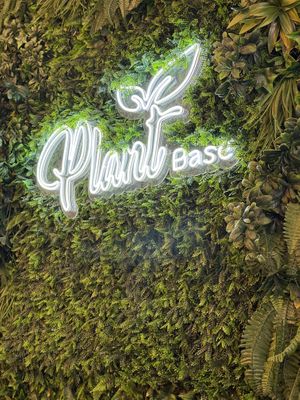   at Plant Base in Lisbon