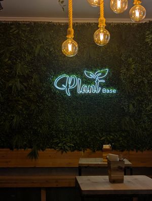  at Plant Base in Lisbon