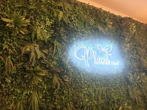   at Plant Base in Lisbon