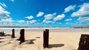 The views   at Yallah Coffee Kiosk in St Ives