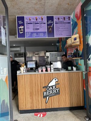   at Oakberry in Bondi Beach