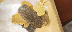 Vegan Nuggets of different seeds flour  at Surya Cafe and Concepts in New Delhi