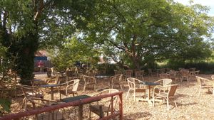 The Garden Terrace. Lovely under a Walnuttree at café Driewegen in Terneuzen at Eetcafé Driewegen in Terneuzen