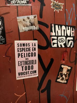 Pegatinas  at Cat Bar in Barcelona