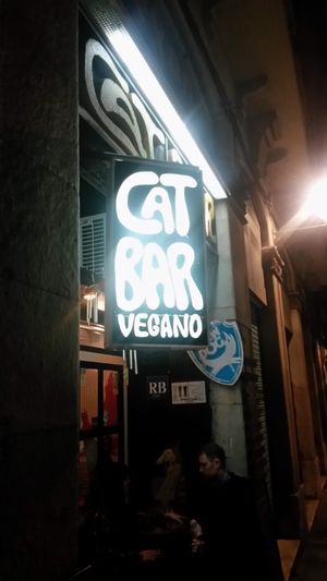 Outside at Cat Bar in Barcelona