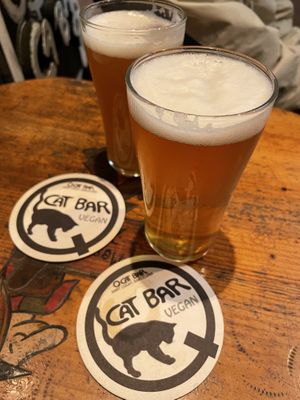 Beers  at Cat Bar in Barcelona
