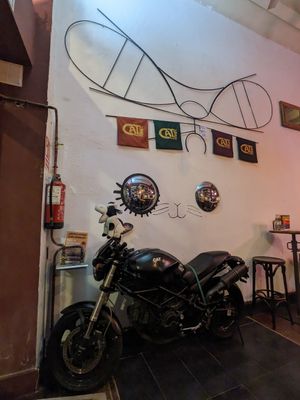  at Cat Bar in Barcelona